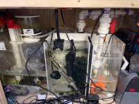 IMG_6868.jpeg