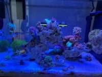 IMG_0633.jpeg