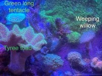 IMG_4419.jpeg
