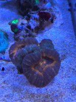 IMG_6484.jpeg