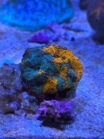 IMG_6483.jpeg