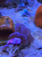 IMG_6482.jpeg