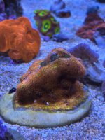 IMG_6481.jpeg