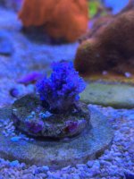 IMG_6480.jpeg