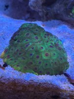 IMG_6479.jpeg