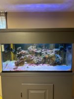 IMG_2729.jpeg