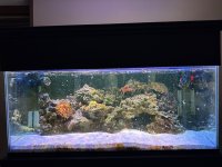 IMG_9433.jpeg