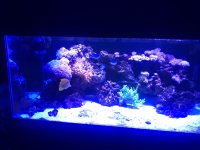 IMG_6663.jpeg