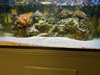 IMG_8376.jpeg