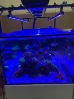 IMG_6758.jpg