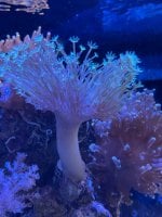 IMG_2952.jpeg