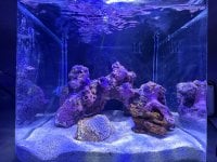 IMG_2503.JPEG