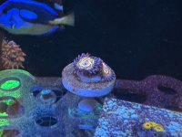 IMG_4163.JPG