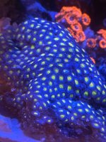 IMG_9729.jpeg