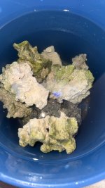 IMG_5769.jpeg