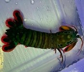 IMG_3772.jpeg