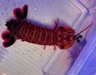 IMG_3773.jpeg