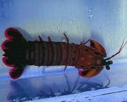 IMG_3774.jpeg