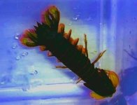 IMG_3776.jpeg