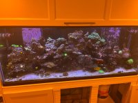 IMG_0351.jpeg