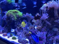 IMG_3185.jpeg