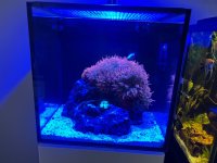IMG_8507.jpeg