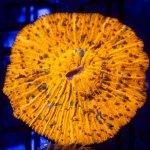 DSC_5486.jpg