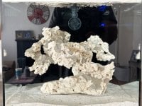 IMG_5145.jpeg