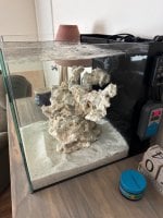 IMG_5161.jpeg