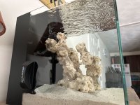 IMG_5144.jpeg
