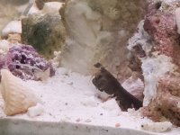 20240805_162902.jpg 20240805_162902.jpg