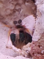 20240812_183328.jpg 20240812_183328.jpg