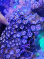 20240814_184617.jpg