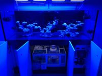 IMG_5996.jpeg