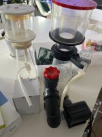 IMG_6070.jpeg