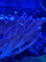 IMG_1195.jpeg
