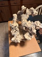 IMG_5276.jpeg