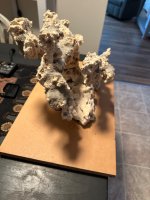 IMG_5277.jpeg
