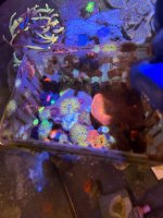IMG_8615.jpeg