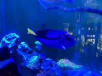 IMG_4499.jpeg
