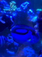 IMG_4502.jpeg