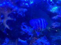 IMG_4500.jpeg