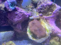 IMG_5888.JPEG