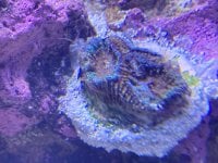 IMG_5775.JPEG