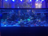 IMG_0853.jpeg