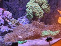 IMG_5644.jpeg