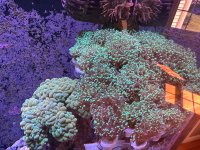IMG_5645.jpeg