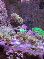 IMG_5638.jpeg