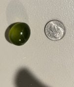 IMG_6779.jpeg