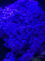 IMG_3451.jpeg